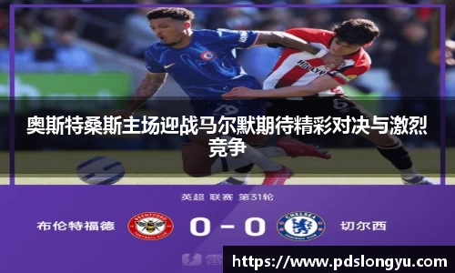 智博19