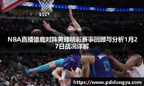 智博19