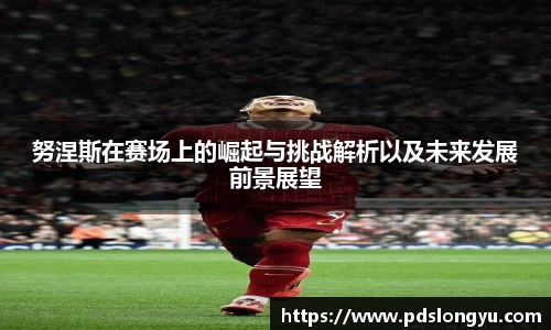 努涅斯在赛场上的崛起与挑战解析以及未来发展前景展望
