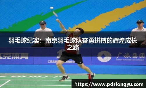 羽毛球纪实：南京羽毛球队奋勇拼搏的辉煌成长之路
