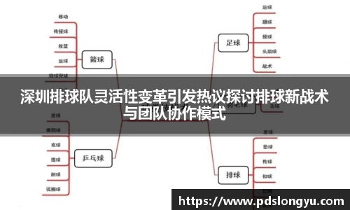 深圳排球队灵活性变革引发热议探讨排球新战术与团队协作模式