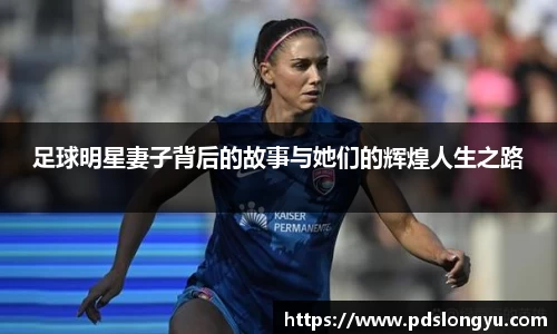 智博19有限公司